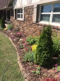 Tree & Shrub Planting in Miami project 4