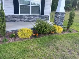 Tree & Shrub Planting in Miami project 5