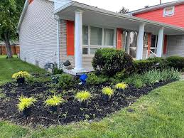 Tree & Shrub Planting in Miami project 6