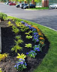 Tree & Shrub Planting in Miami project 7