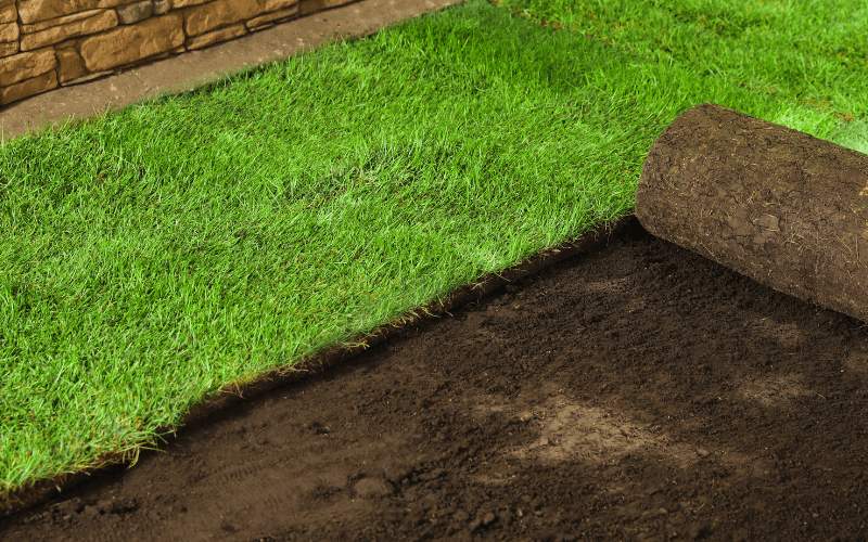 Sod Installation in Miami project 1