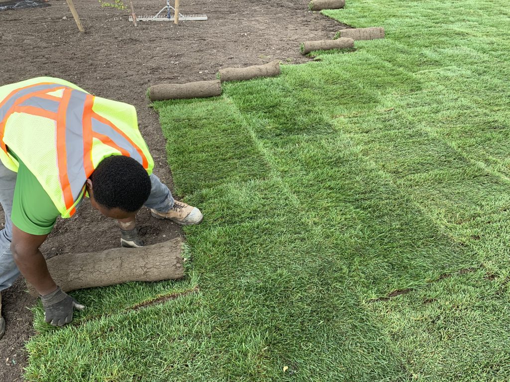 Sod Installation in Miami project 2