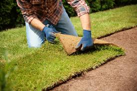 Sod Installation in Miami project 4