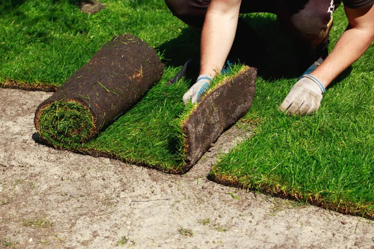 Sod Installation in Miami project 5