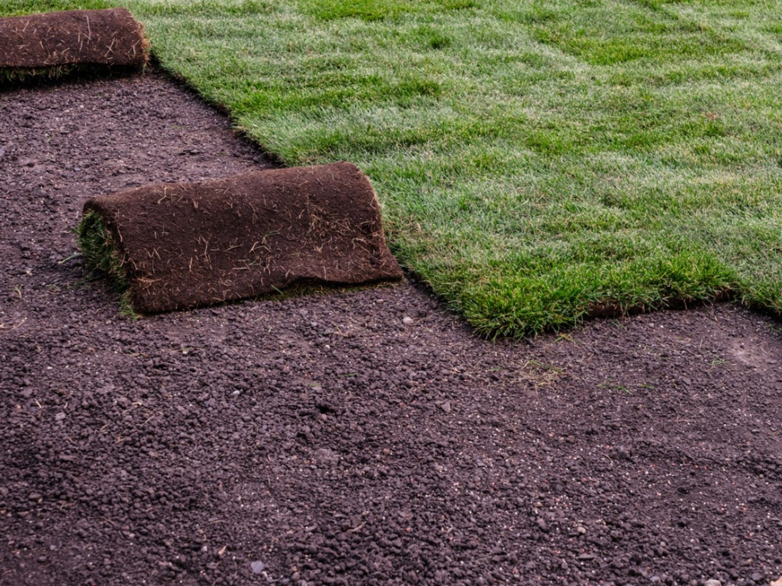 Sod Installation in Miami project 6