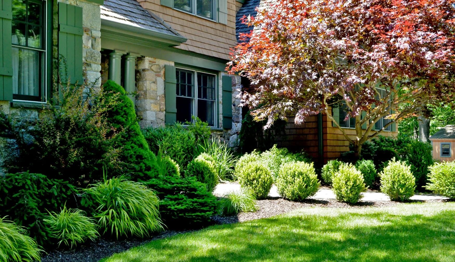 Tree & Shrub Planting in Miami, FL